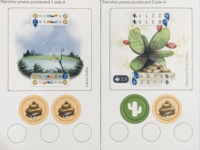 Hovedbilde Petrichor Lake Promo Tile
